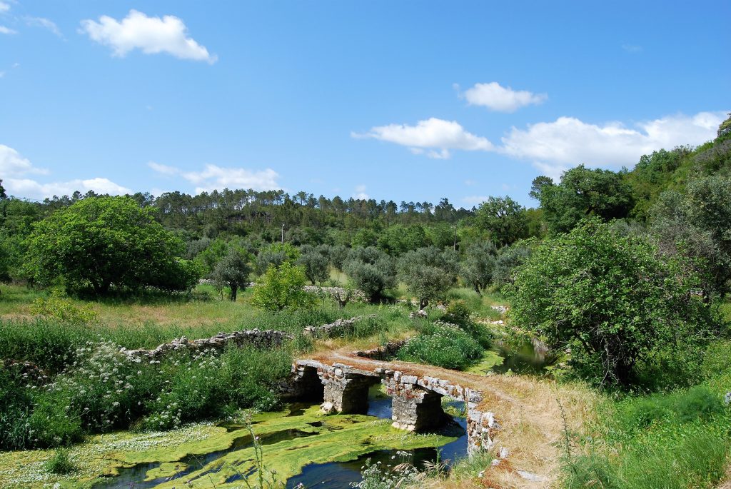 Rio Nabão