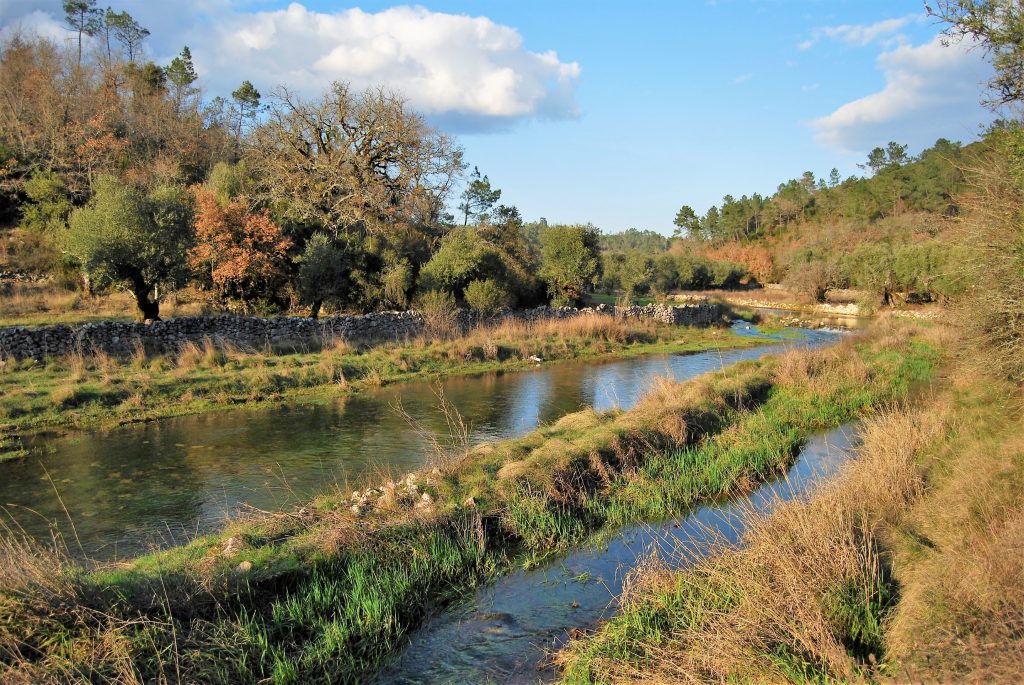 Rio Nabão